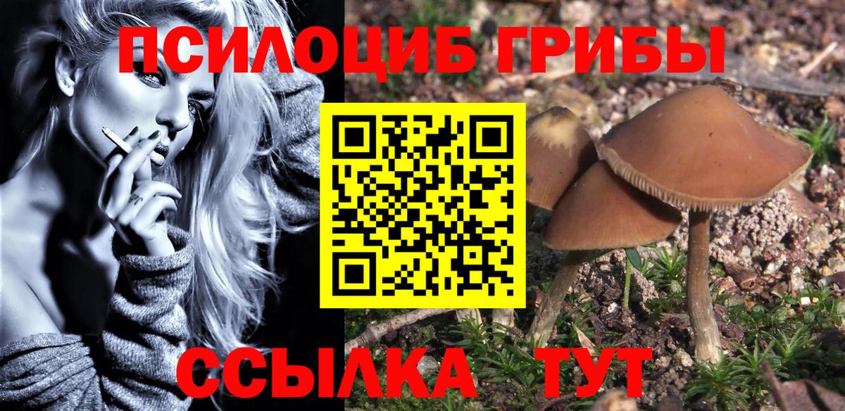 Шадринск  Галлюциногенные грибы GOLDEN TEACHER  Вход с VPN  Псилоцибиновые грибы Psilocybine cubensis 